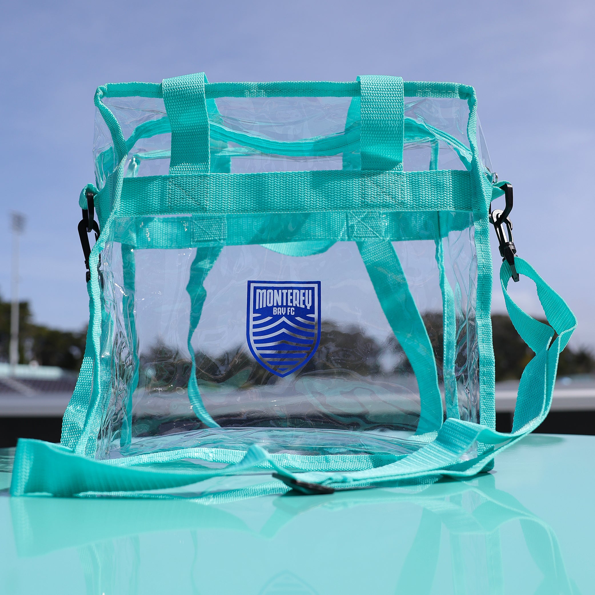 Clear Stadium Shoulder Bag
