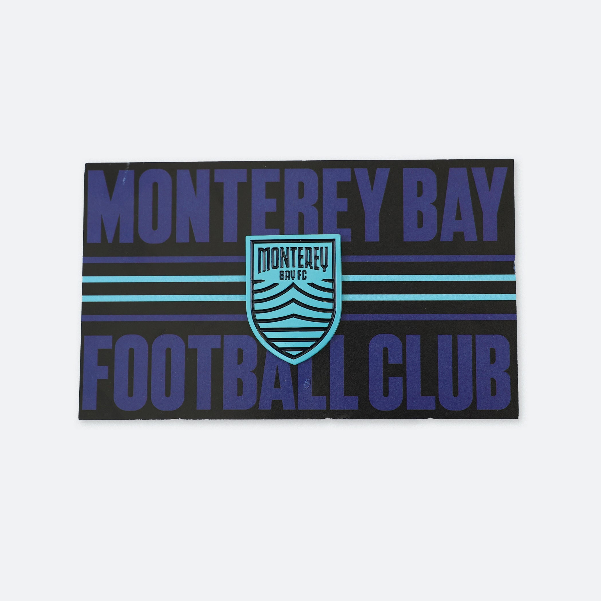 MBFC 2025 Collector Pin