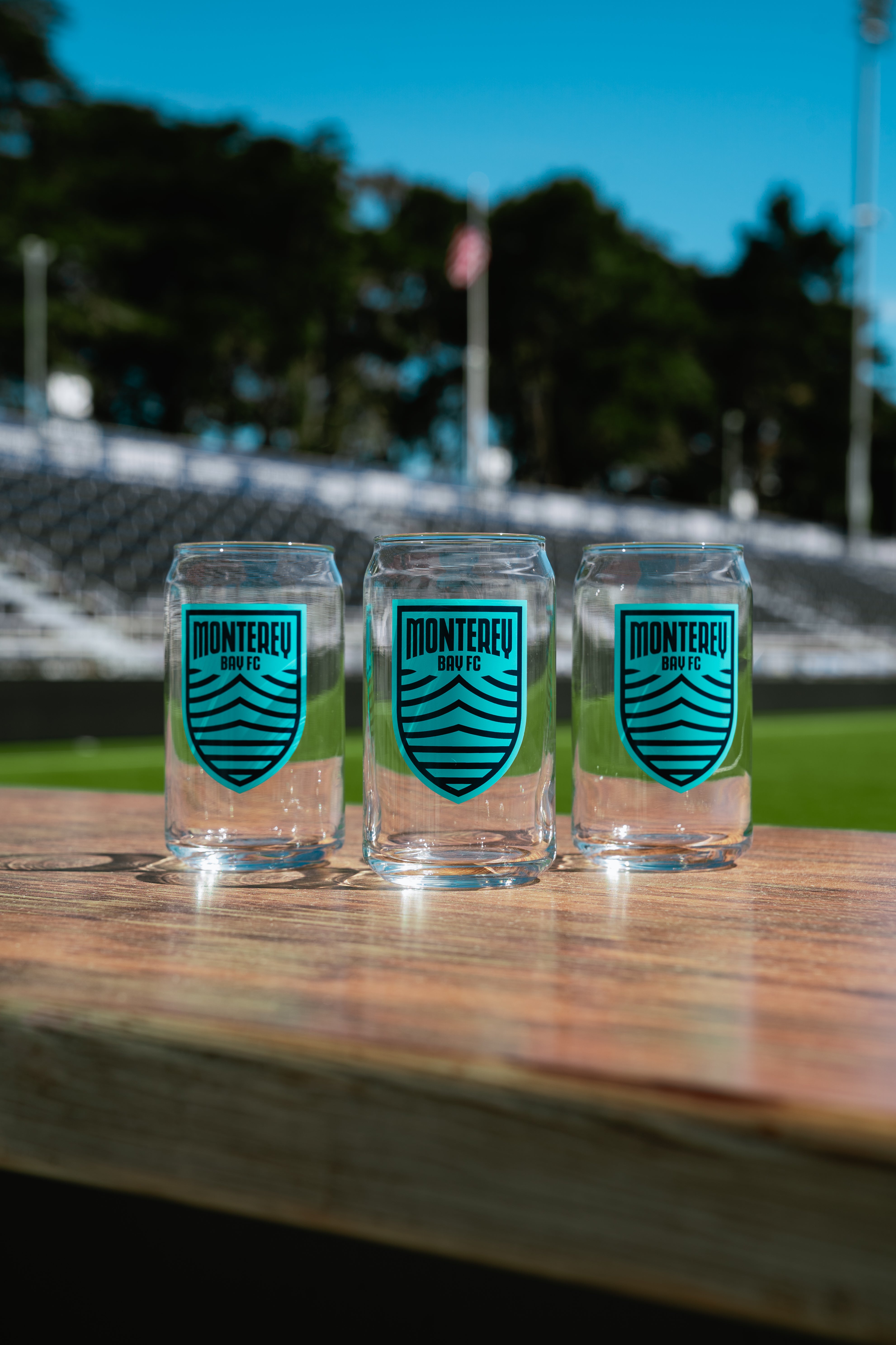MBFC Glass Pint Can 16 OZ
