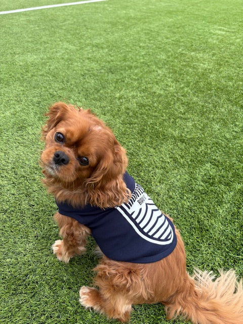 MBFC Dog Shirt